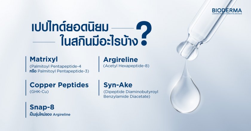เปปไทด์ยอดนิยมในสกินมีอะไรบ้าง?