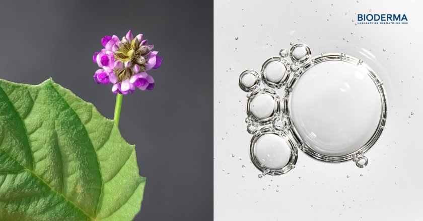 Bakuchiol vs. Retinol ส่วนผสมแต่ละตัวเด่นเรื่องอะไร?