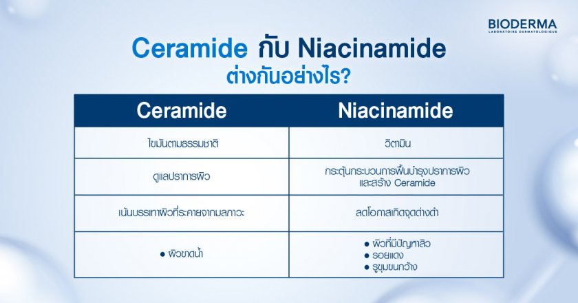 Ceramide กับ Niacinamide ต่างกันอย่างไร?