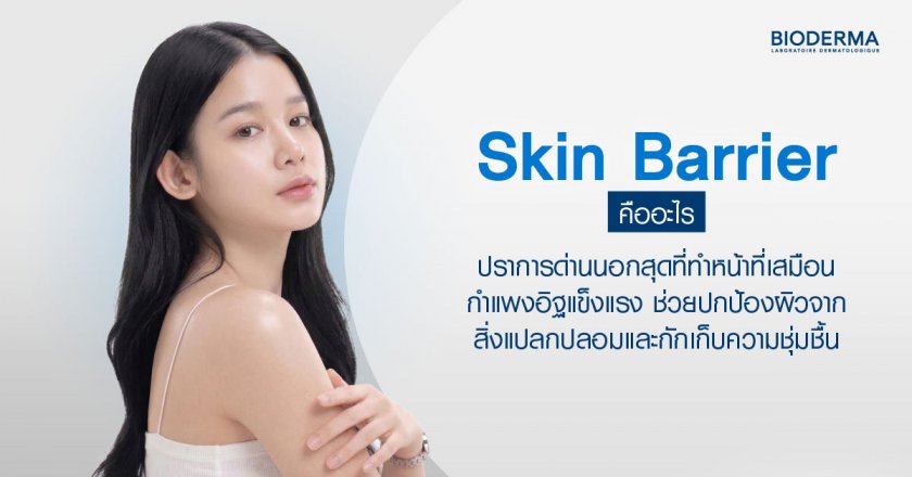 Skin Barrier คืออะไร