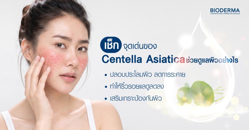 เช็กจุดเด่นของ Centella Asiatica ช่วยดูแลผิวอย่างไร