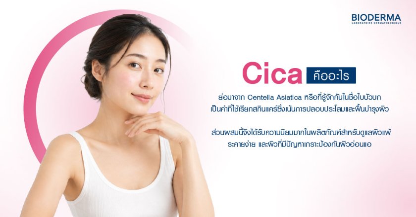 Cica คืออะไร