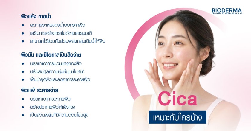 Cica เหมาะกับใครบ้าง